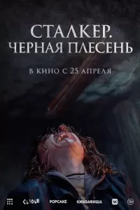 Сталкер. Черная плесень