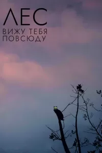 Лес: Вижу тебя повсюду